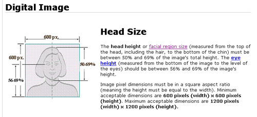 digital head compsition